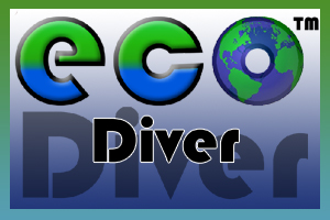 ECO_Diver_Brand_A